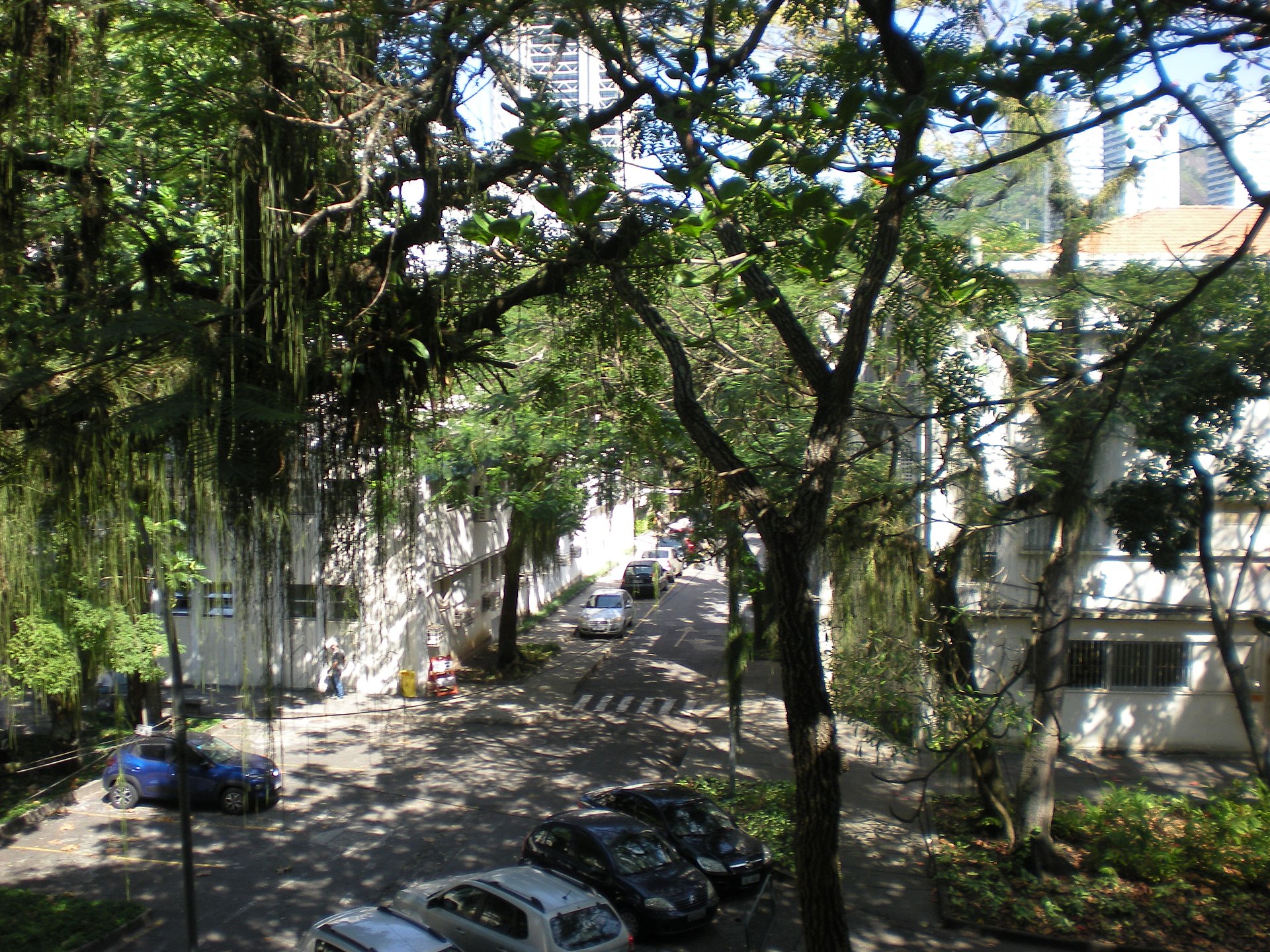 Imagem institucional relacionada à UFRJ