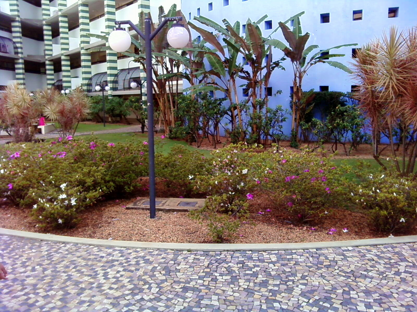 Imagem institucional relacionada à UNB