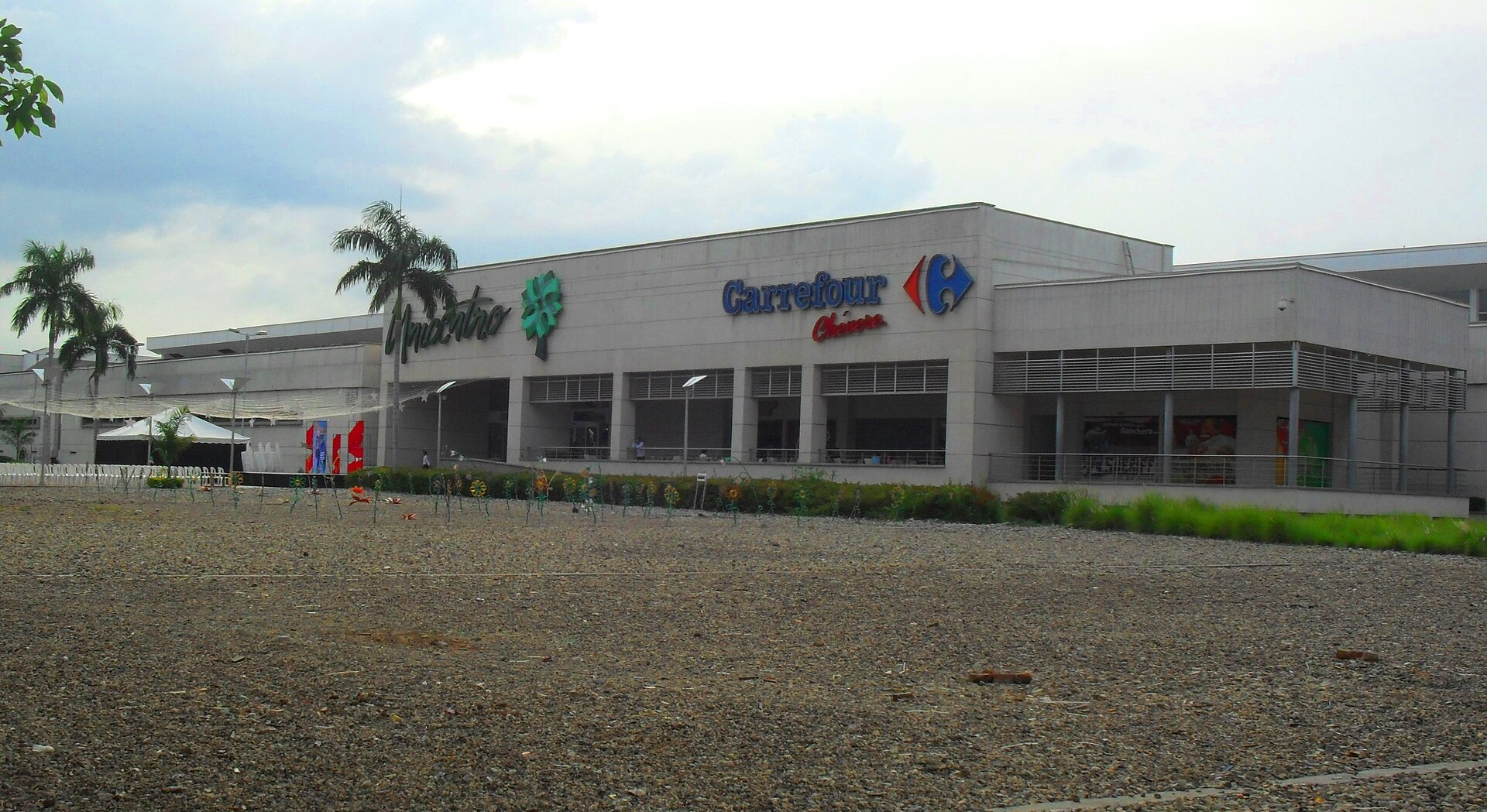 UNICENTRO tem inscrições abertas para mestrado em Ciências Florestais até 19 de junho